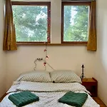 Apartman Vintage House *